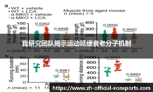 我研究团队揭示运动延缓衰老分子机制